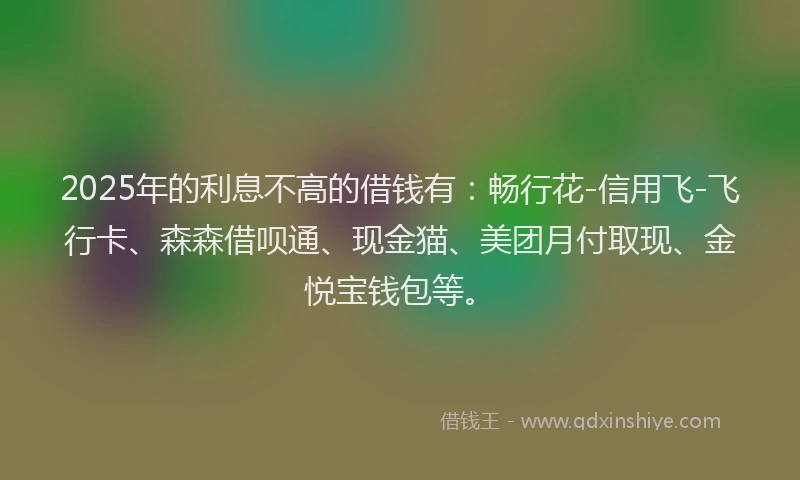 2025年的利息不高的借钱有：畅行花-信用飞-飞行卡、森森借呗通、现金猫、美团月付取现、金悦宝钱包等。
