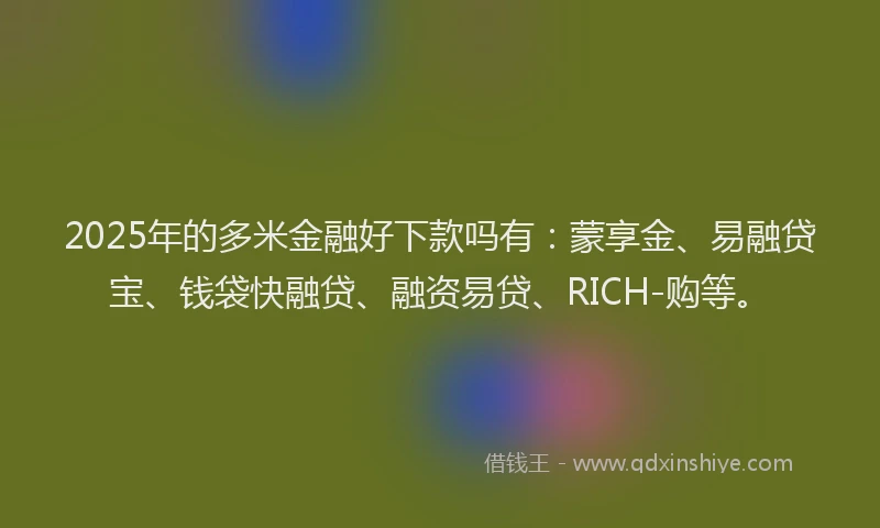 2025年的多米金融好下款吗有：蒙享金、易融贷宝、钱袋快融贷、融资易贷、RICH-购等。