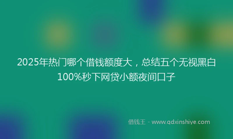 2025年热门哪个借钱额度大，总结五个无视黑白100%秒下网贷小额夜间口子