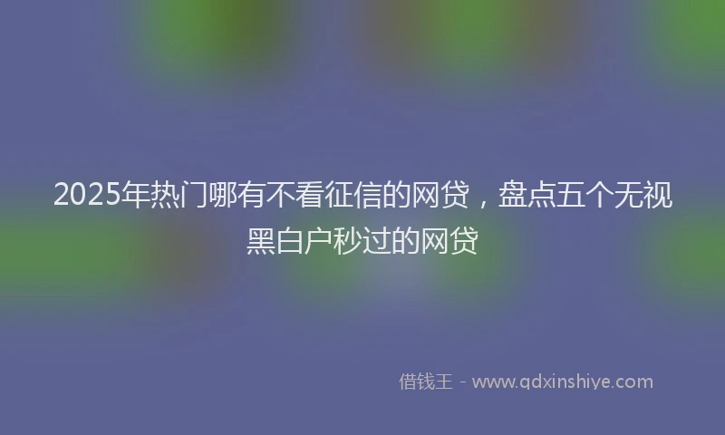 2025年热门哪有不看征信的网贷，盘点五个无视黑白户秒过的网贷