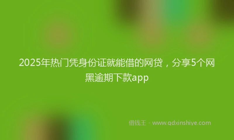 2025年热门凭身份证就能借的网贷，分享5个网黑逾期下款app