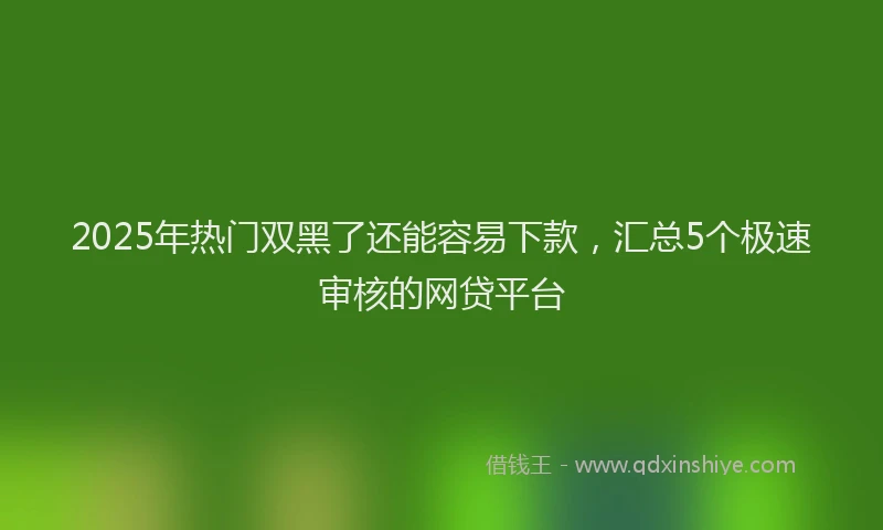 2025年热门双黑了还能容易下款，汇总5个极速审核的网贷平台