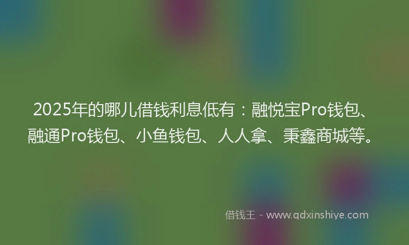 2025年的哪儿借钱利息低有：融悦宝Pro钱包、融通Pro钱包、小鱼钱包、人人拿、秉鑫商城等。