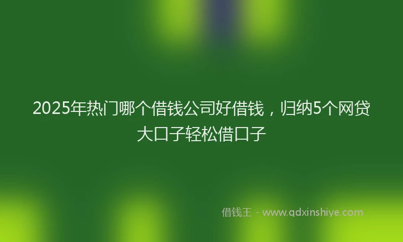 2025年热门哪个借钱公司好借钱，归纳5个网贷大口子轻松借口子