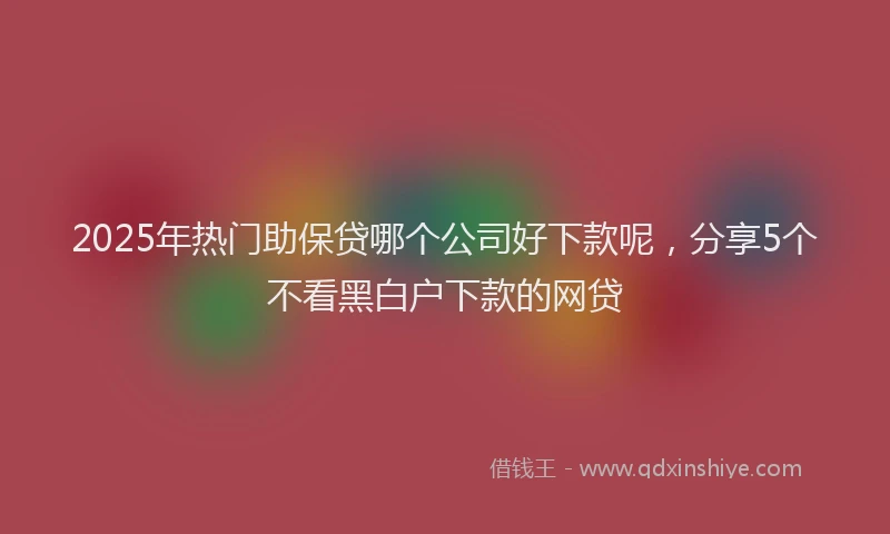 2025年热门助保贷哪个公司好下款呢，分享5个不看黑白户下款的网贷