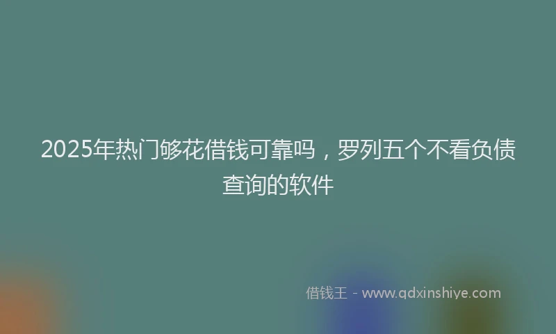 2025年热门够花借钱可靠吗，罗列五个不看负债查询的软件