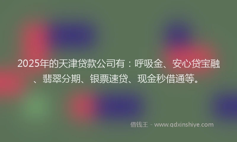 2025年的天津贷款公司有：呼吸金、安心贷宝融、翡翠分期、银票速贷、现金秒借通等。