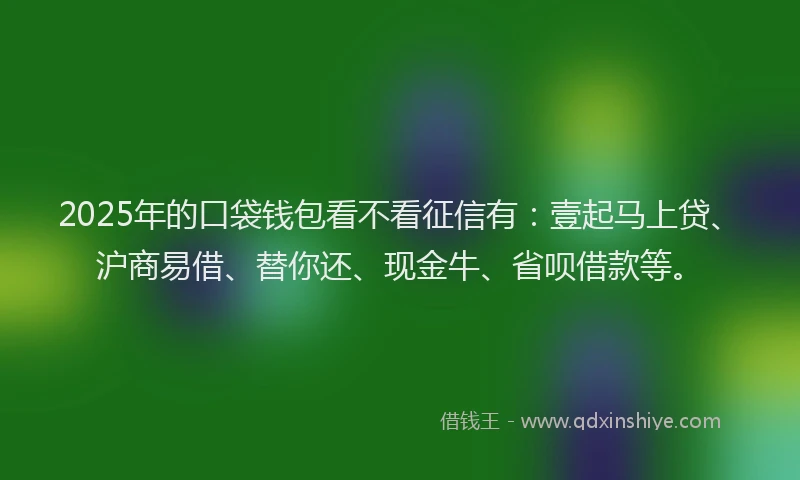 2025年的口袋钱包看不看征信有：壹起马上贷、沪商易借、替你还、现金牛、省呗借款等。