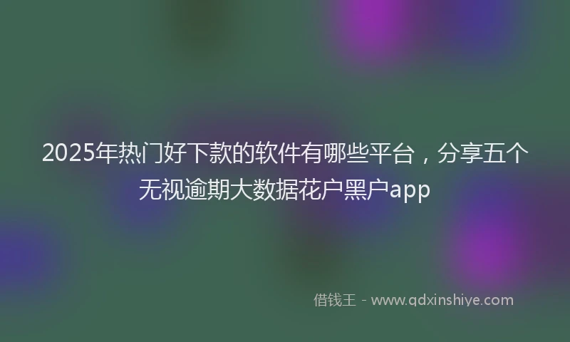 2025年热门好下款的软件有哪些平台，分享五个无视逾期大数据花户黑户app