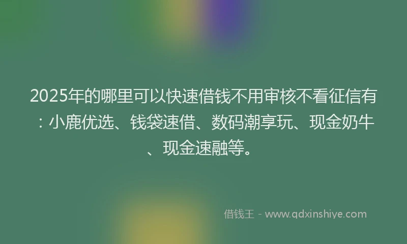 2025年的哪里可以快速借钱不用审核不看征信有：小鹿优选、钱袋速借、数码潮享玩、现金奶牛、现金速融等。