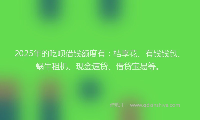 2025年的吃呗借钱额度有：桔享花、有钱钱包、蜗牛租机、现金速贷、借贷宝易等。