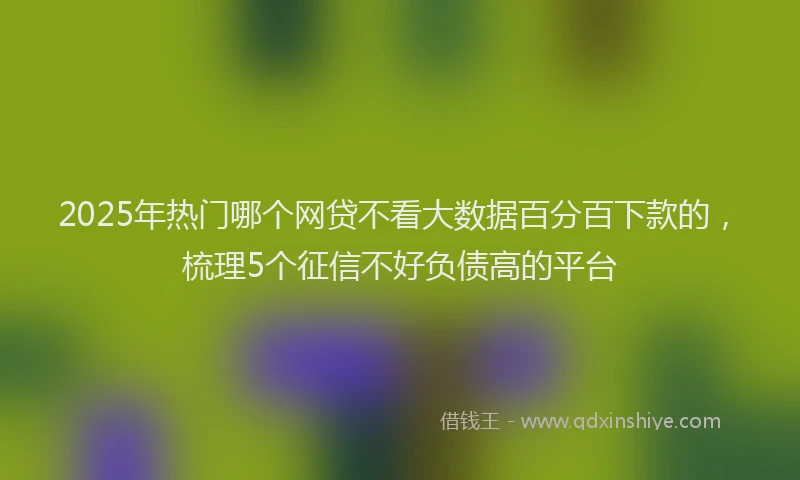 2025年热门哪个网贷不看大数据百分百下款的，梳理5个征信不好负债高的平台
