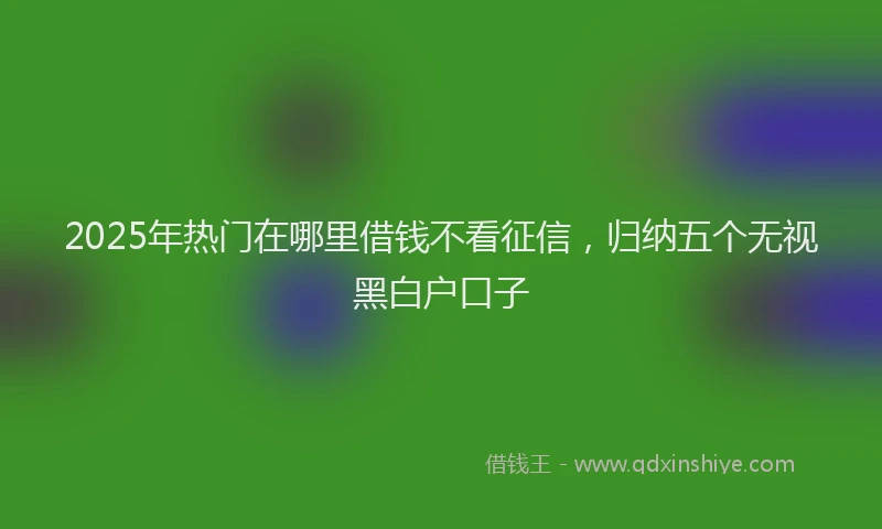 2025年热门在哪里借钱不看征信，归纳五个无视黑白户口子