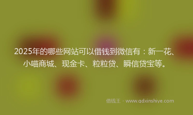 2025年的哪些网站可以借钱到微信有：新一花、小喵商城、现金卡、粒粒贷、瞬信贷宝等。