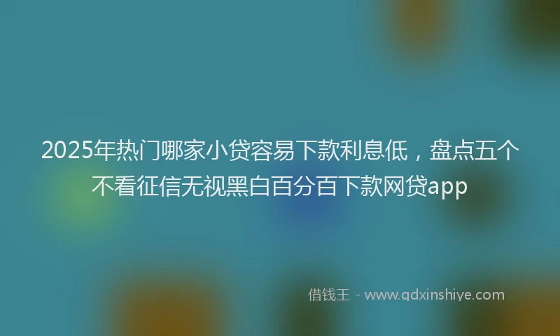 2025年热门哪家小贷容易下款利息低，盘点五个不看征信无视黑白百分百下款网贷app