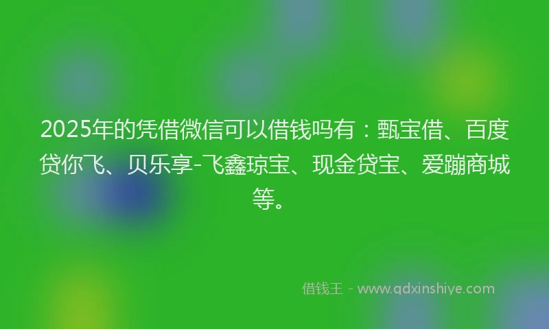2025年的凭借微信可以借钱吗有：甄宝借、百度贷你飞、贝乐享-飞鑫琼宝、现金贷宝、爱蹦商城等。