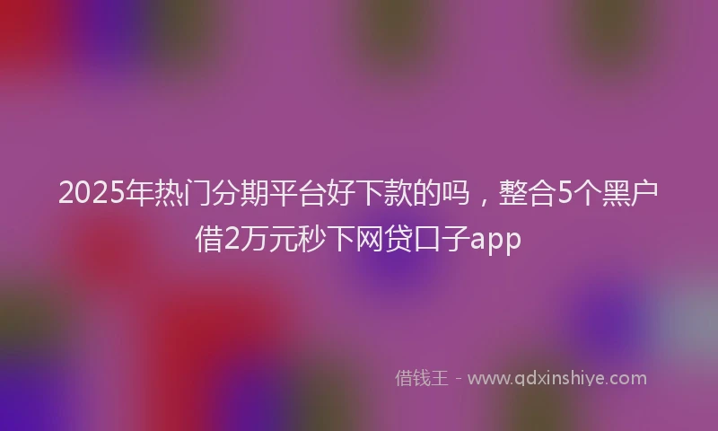 2025年热门分期平台好下款的吗，整合5个黑户借2万元秒下网贷口子app