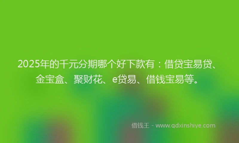 2025年的千元分期哪个好下款有：借贷宝易贷、金宝盒、聚财花、e贷易、借钱宝易等。