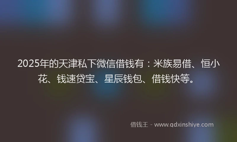 2025年的天津私下微信借钱有：米族易借、恒小花、钱速贷宝、星辰钱包、借钱快等。