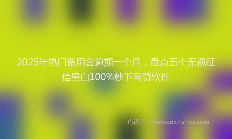 2025年热门备用金逾期一个月，盘点五个无视征信黑白100%秒下网贷软件