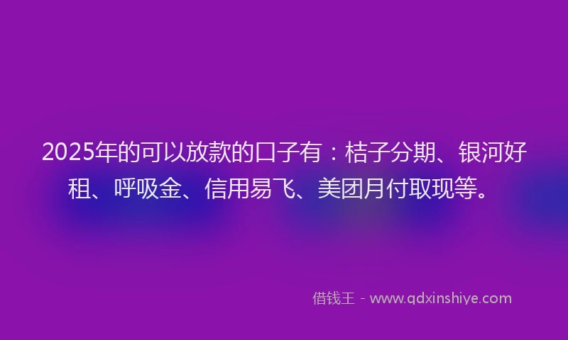 2025年的可以放款的口子有：桔子分期、银河好租、呼吸金、信用易飞、美团月付取现等。