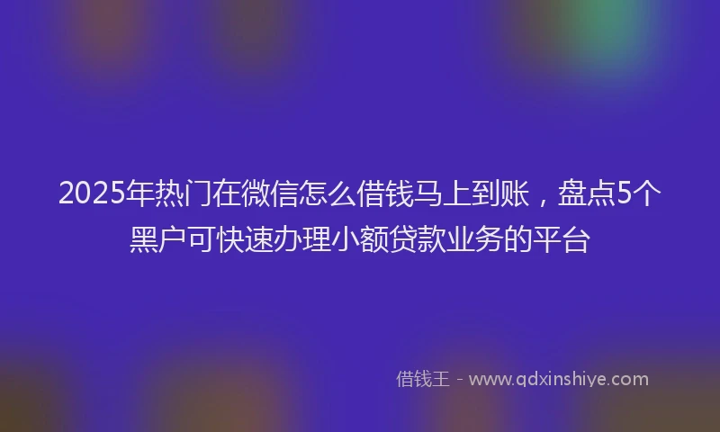 2025年热门在微信怎么借钱马上到账，盘点5个黑户可快速办理小额贷款业务的平台