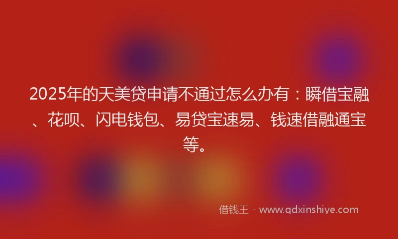 2025年的天美贷申请不通过怎么办有：瞬借宝融、花呗、闪电钱包、易贷宝速易、钱速借融通宝等。