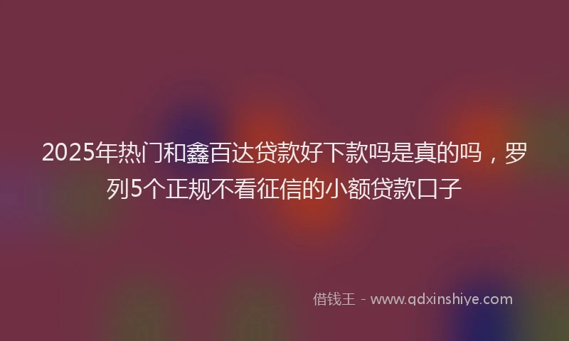 2025年热门和鑫百达贷款好下款吗是真的吗，罗列5个正规不看征信的小额贷款口子