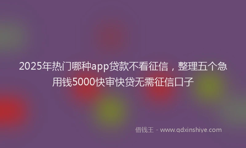 2025年热门哪种app贷款不看征信，整理五个急用钱5000快审快贷无需征信口子