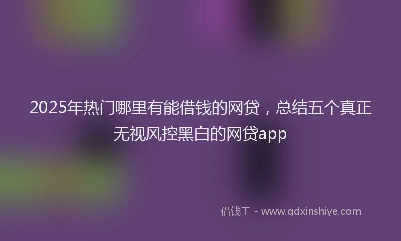 2025年热门哪里有能借钱的网贷，总结五个真正无视风控黑白的网贷app