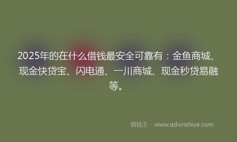 2025年的在什么借钱最安全可靠有：金鱼商城、现金快贷宝、闪电通、一川商城、现金秒贷易融等。