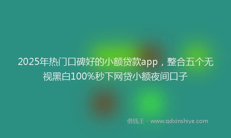 2025年热门口碑好的小额贷款app，整合五个无视黑白100%秒下网贷小额夜间口子