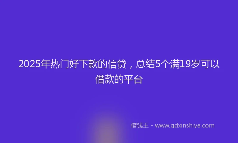 2025年热门好下款的信贷，总结5个满19岁可以借款的平台