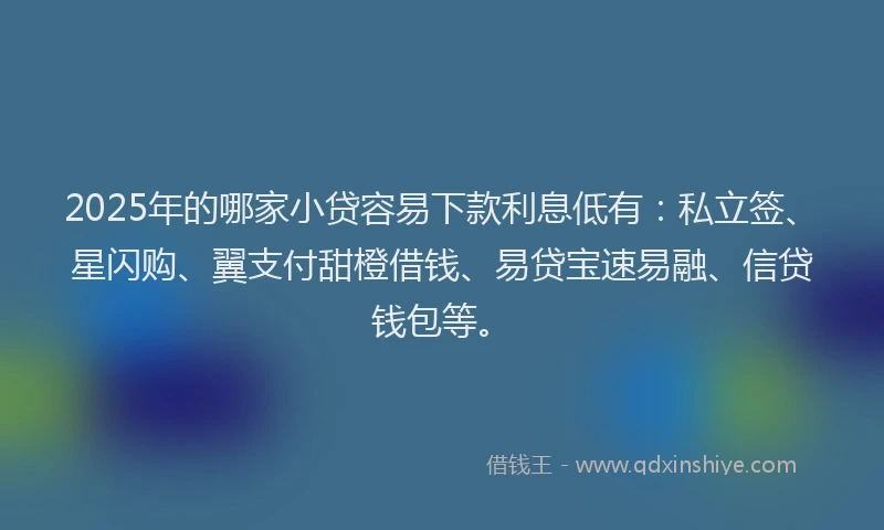 2025年的哪家小贷容易下款利息低有：私立签、星闪购、翼支付甜橙借钱、易贷宝速易融、信贷钱包等。