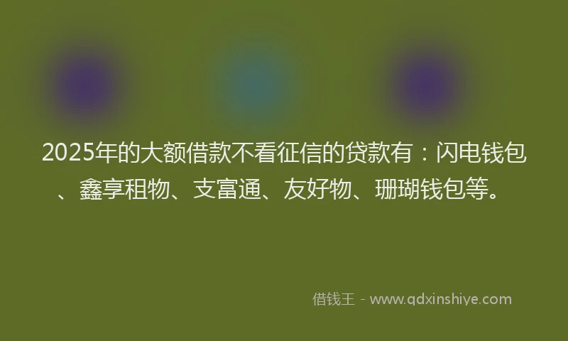 2025年的大额借款不看征信的贷款有：闪电钱包、鑫享租物、支富通、友好物、珊瑚钱包等。