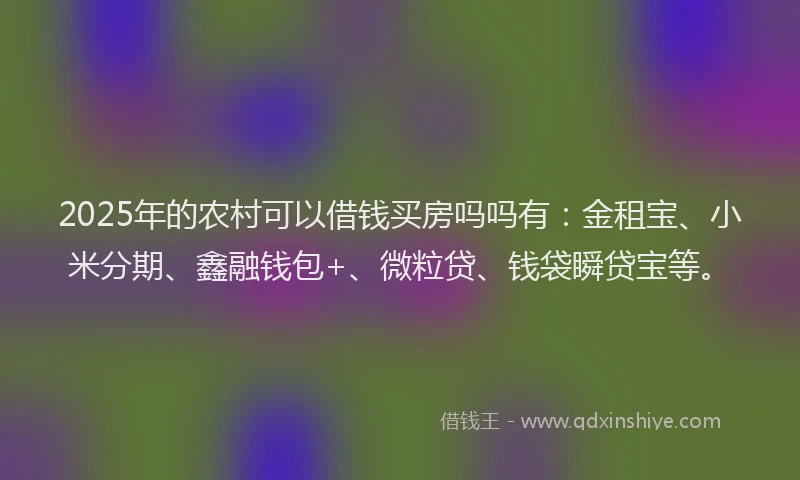 2025年的农村可以借钱买房吗吗有：金租宝、小米分期、鑫融钱包+、微粒贷、钱袋瞬贷宝等。