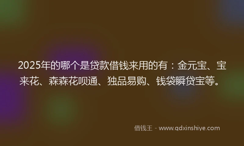 2025年的哪个是贷款借钱来用的有：金元宝、宝来花、森森花呗通、独品易购、钱袋瞬贷宝等。