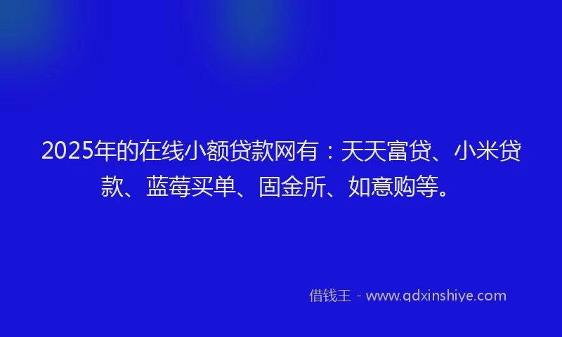 2025年的在线小额贷款网有：天天富贷、小米贷款、蓝莓买单、固金所、如意购等。