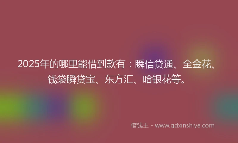2025年的哪里能借到款有：瞬信贷通、全金花、钱袋瞬贷宝、东方汇、哈银花等。