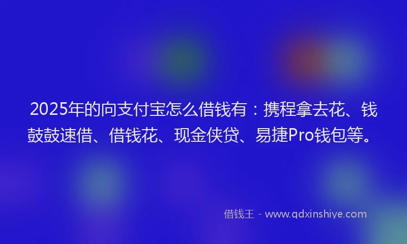 2025年的向支付宝怎么借钱有：携程拿去花、钱鼓鼓速借、借钱花、现金侠贷、易捷Pro钱包等。