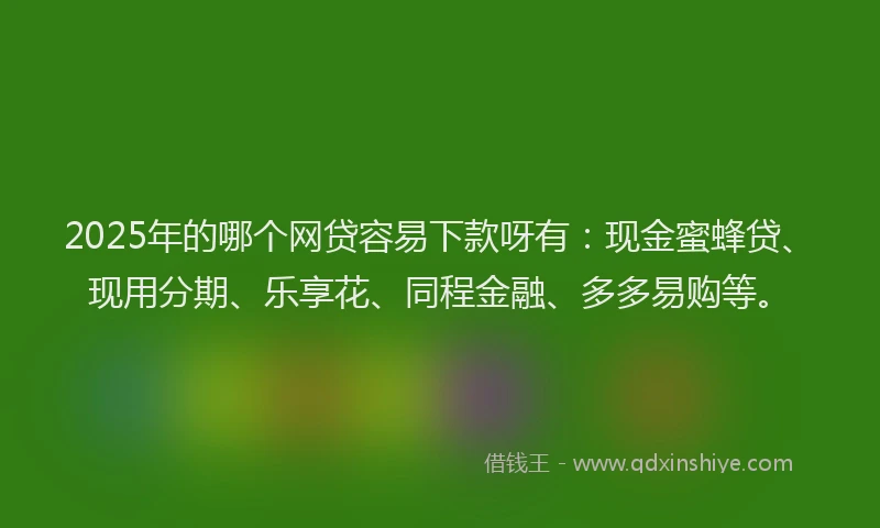 2025年的哪个网贷容易下款呀有：现金蜜蜂贷、现用分期、乐享花、同程金融、多多易购等。