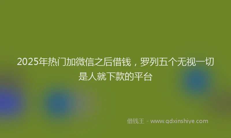 2025年热门加微信之后借钱，罗列五个无视一切是人就下款的平台