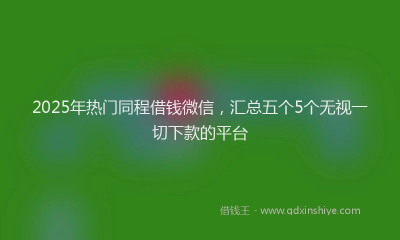 2025年热门同程借钱微信，汇总五个5个无视一切下款的平台