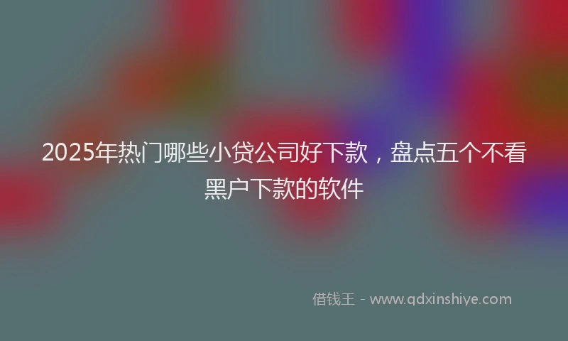 2025年热门哪些小贷公司好下款，盘点五个不看黑户下款的软件