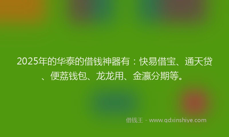 2025年的华泰的借钱神器有：快易借宝、通天贷、便荔钱包、龙龙用、金瀛分期等。