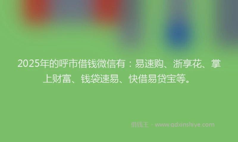 2025年的呼市借钱微信有：易速购、浙享花、掌上财富、钱袋速易、快借易贷宝等。