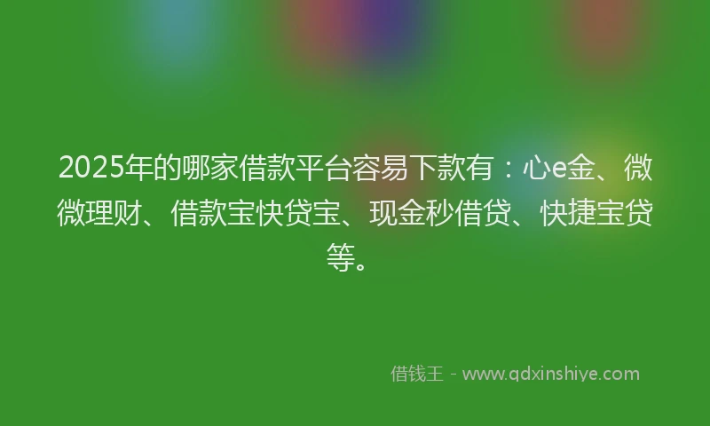 2025年的哪家借款平台容易下款有:心e金、微微理财、借款宝快贷宝、现金秒借贷、快捷宝贷等。