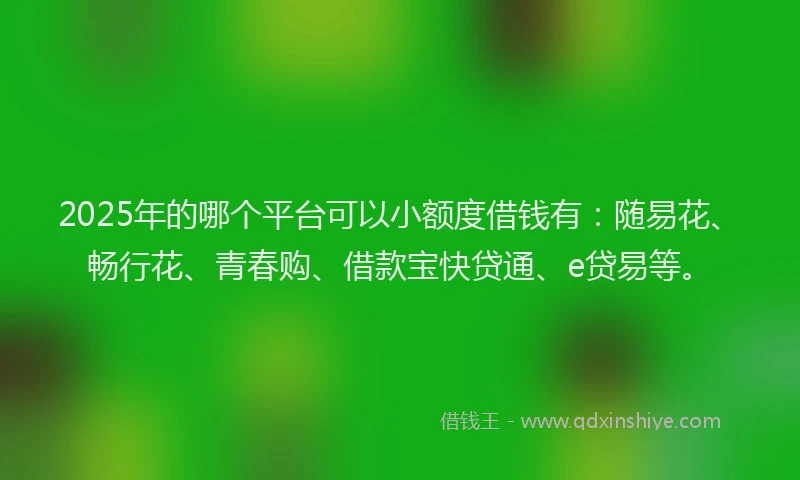 2025年的哪个平台可以小额度借钱有：随易花、畅行花、青春购、借款宝快贷通、e贷易等。