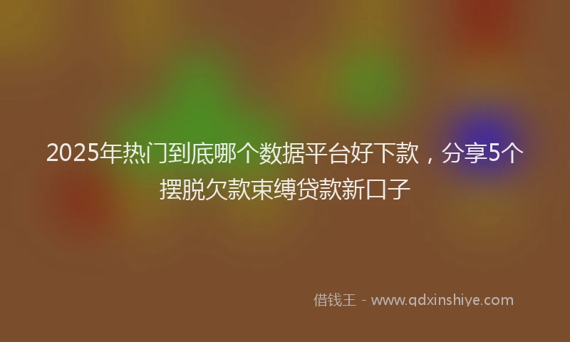 2025年热门到底哪个数据平台好下款，分享5个摆脱欠款束缚贷款新口子