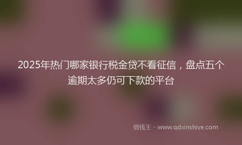 2025年热门哪家银行税金贷不看征信，盘点五个逾期太多仍可下款的平台